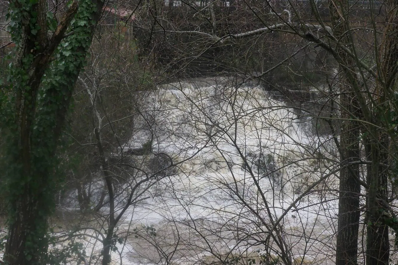 Fotos: El río Miera sigue en valores normales, a pesar de la fuerza que ha tomado su caudal