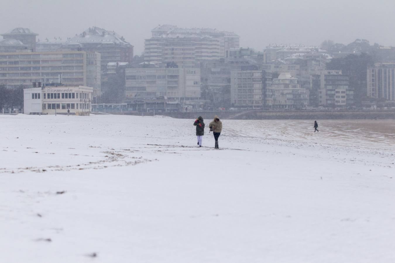 Fotos: A clase y a trabajar bajo la nieve