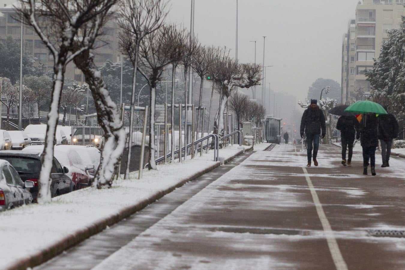 Fotos: A clase y a trabajar bajo la nieve