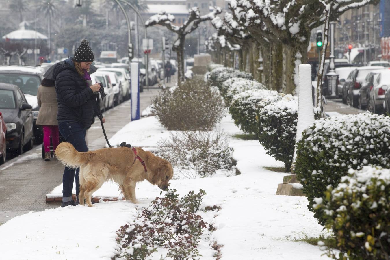 Fotos: A clase y a trabajar bajo la nieve