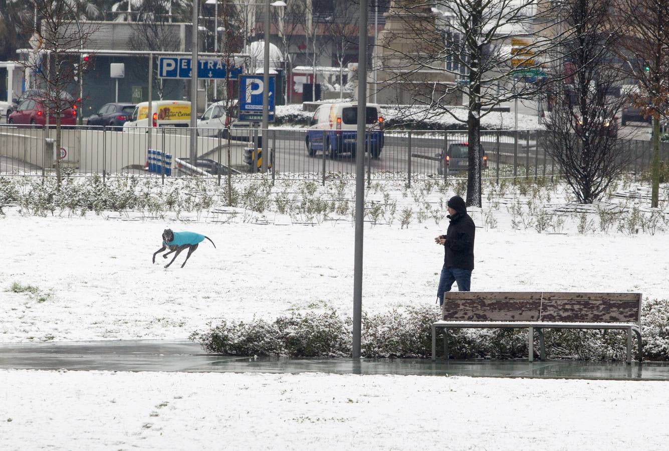 Fotos: A clase y a trabajar bajo la nieve