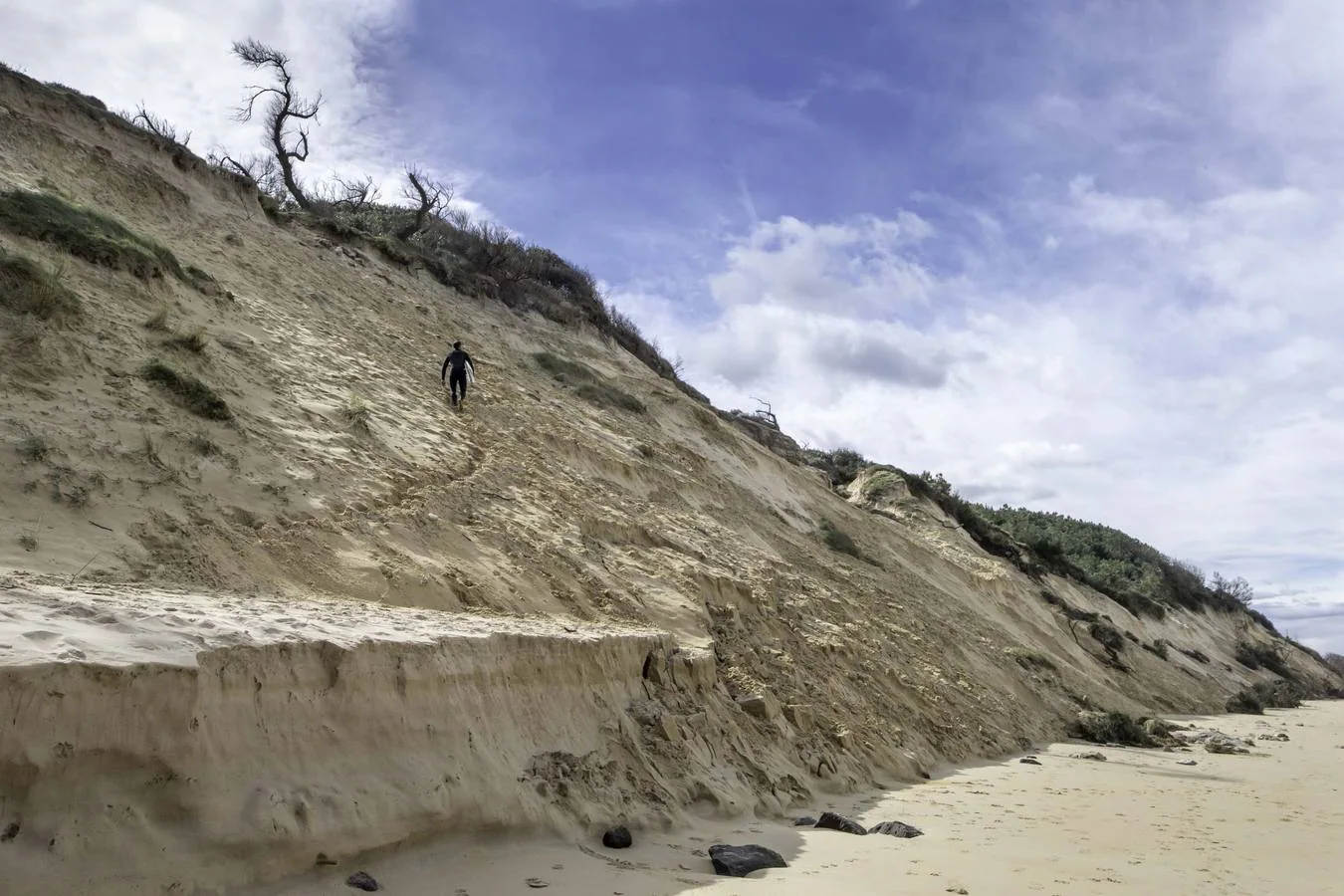 Las últimas lluvias y los temporales provocan el derrumbe de rocas y de una decena de pinos