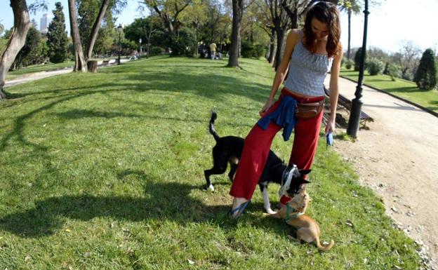 Reocín abrirá este año el primer parque para perros del municipio