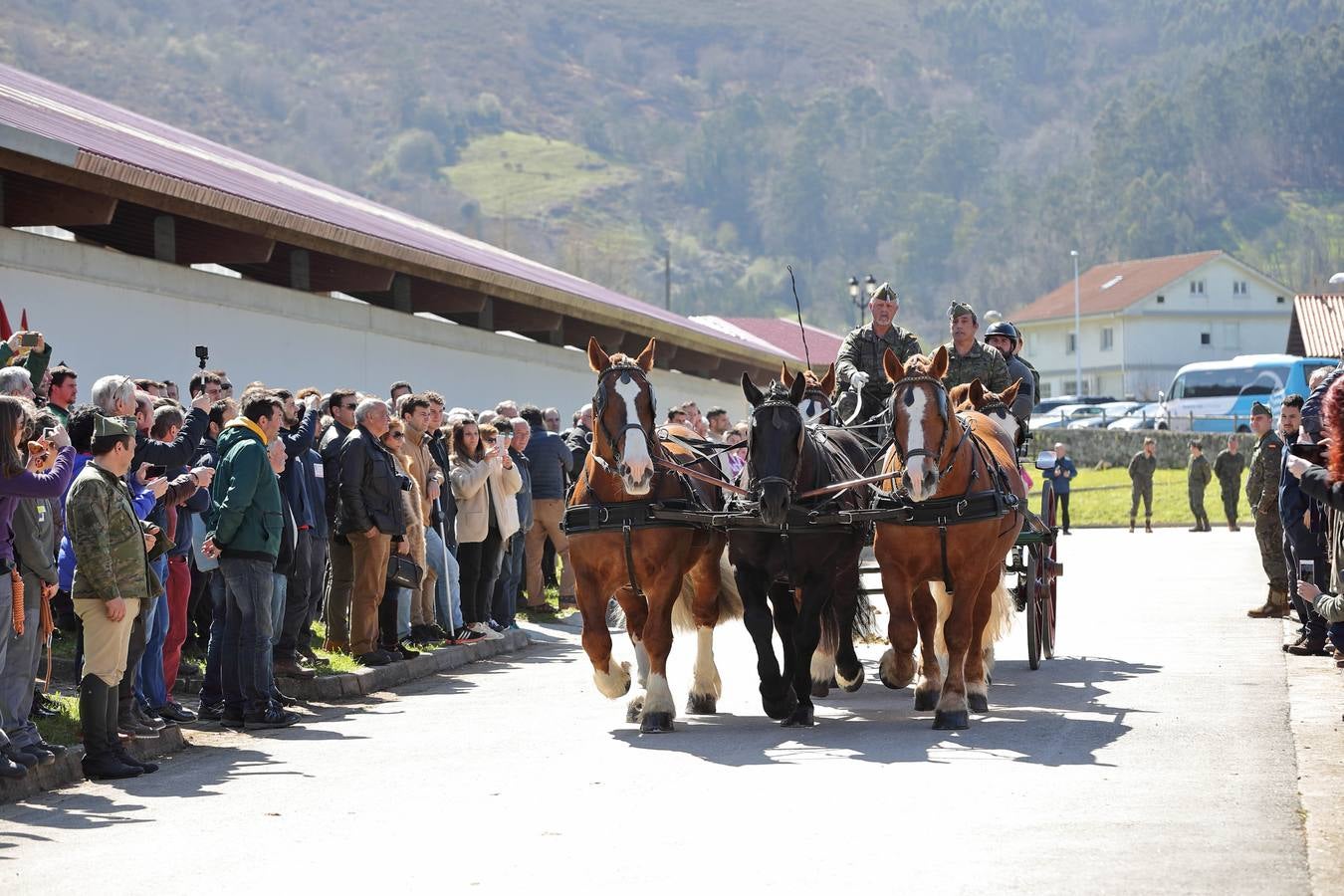 Fotos: Desfile de los sementales de la Yeguada de Ibio