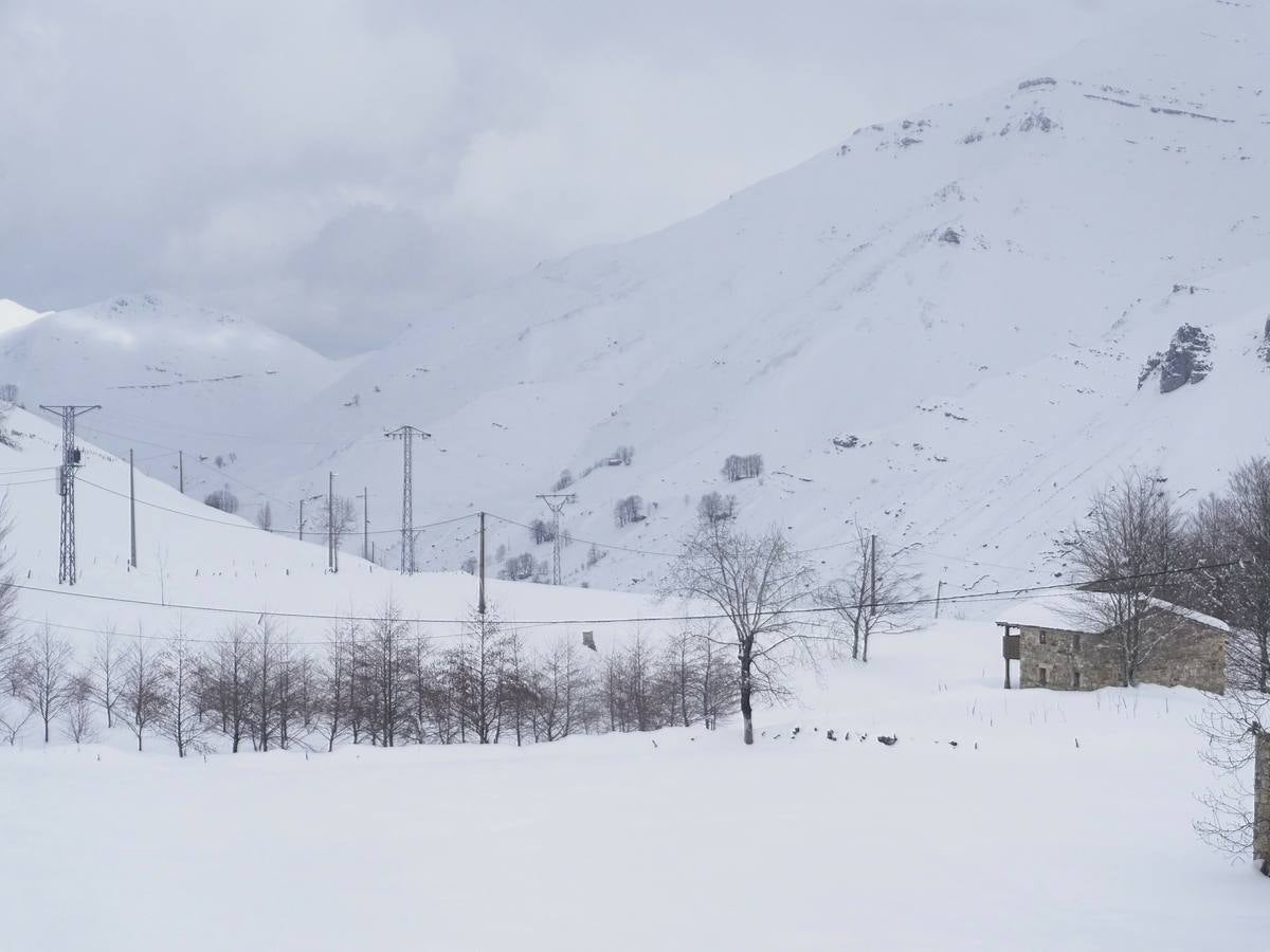 Los temporales de las últimas semanas han transformado los paisajes del interior de la región, que aparecen cubiertos por una espesa capa de nieve.