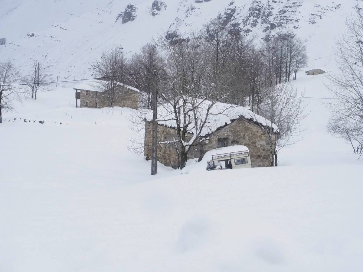 Los temporales de las últimas semanas han transformado los paisajes del interior de la región, que aparecen cubiertos por una espesa capa de nieve.