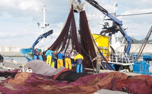 El Grupo de Acción Costera Oriental contará con un presupuesto de 3,2 millones hasta 2023