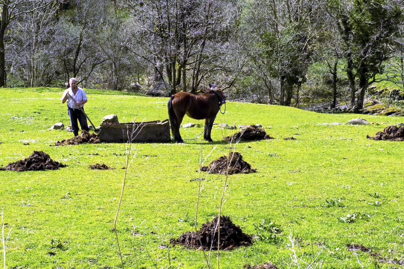 Tras el duro invierno que dejó media Cantabria bajo la nieve, con la llegada de la primavera el verde recobra su protagonismo en la región,