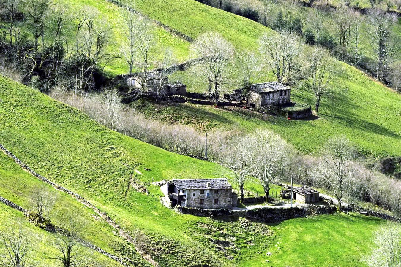 Tras el duro invierno que dejó media Cantabria bajo la nieve, con la llegada de la primavera el verde recobra su protagonismo en la región,