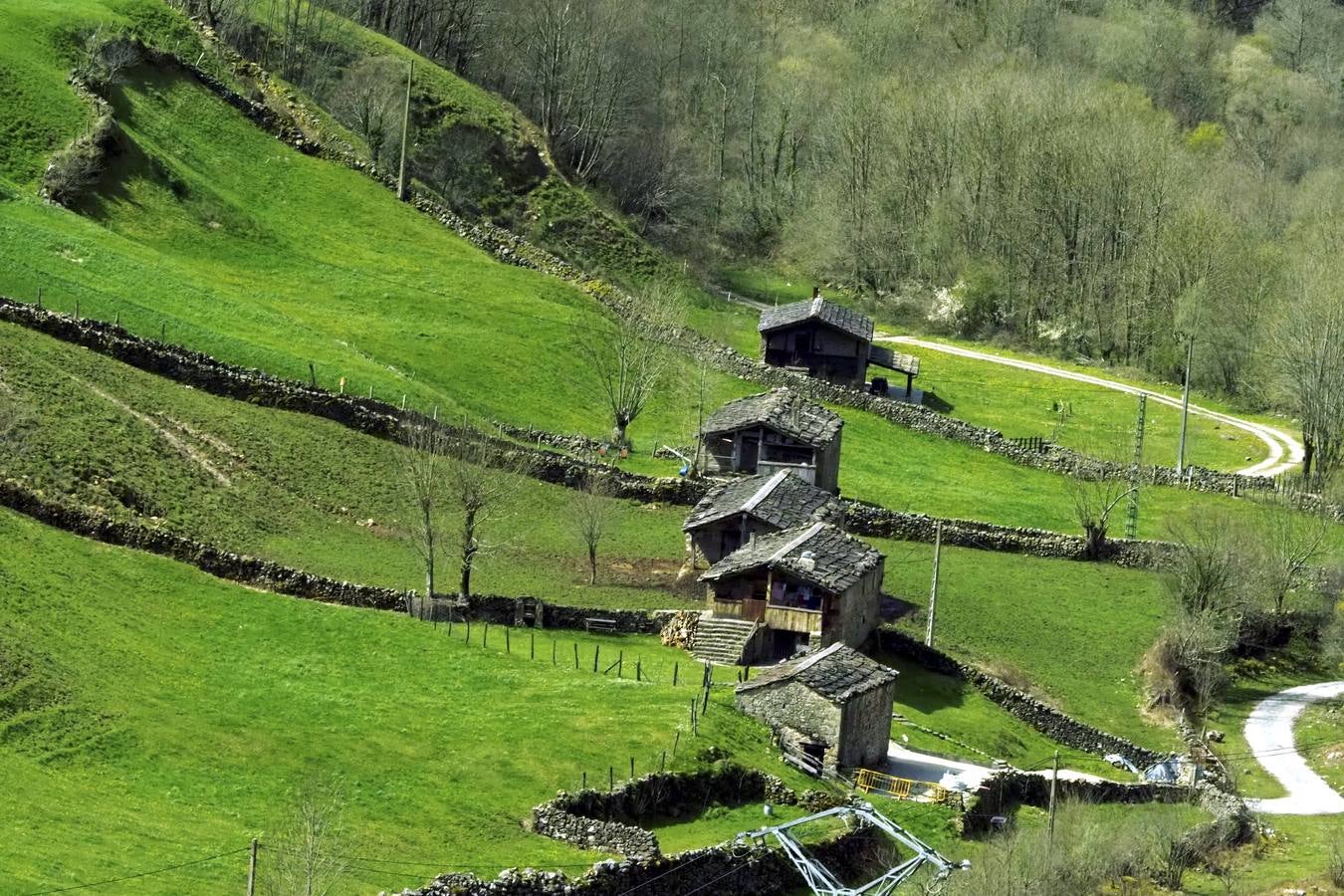 Tras el duro invierno que dejó media Cantabria bajo la nieve, con la llegada de la primavera el verde recobra su protagonismo en la región,