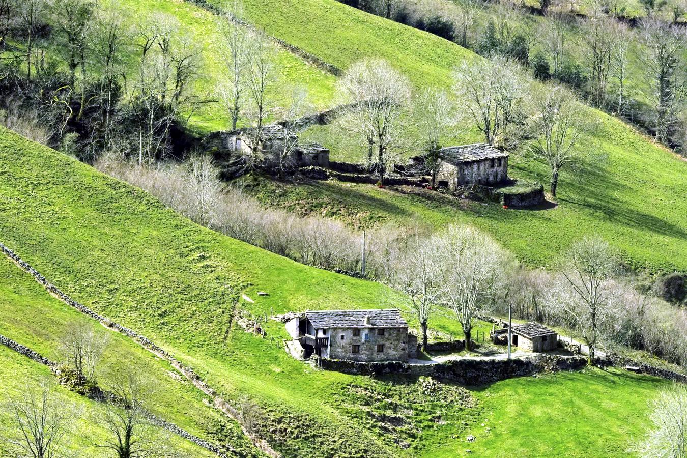 Tras el duro invierno que dejó media Cantabria bajo la nieve, con la llegada de la primavera el verde recobra su protagonismo en la región,