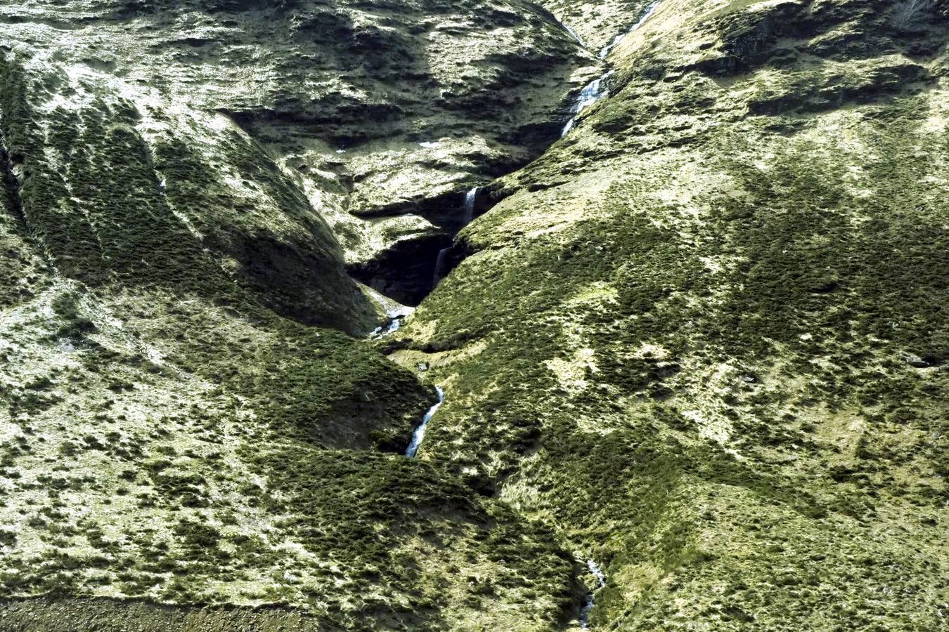 Tras el duro invierno que dejó media Cantabria bajo la nieve, con la llegada de la primavera el verde recobra su protagonismo en la región,