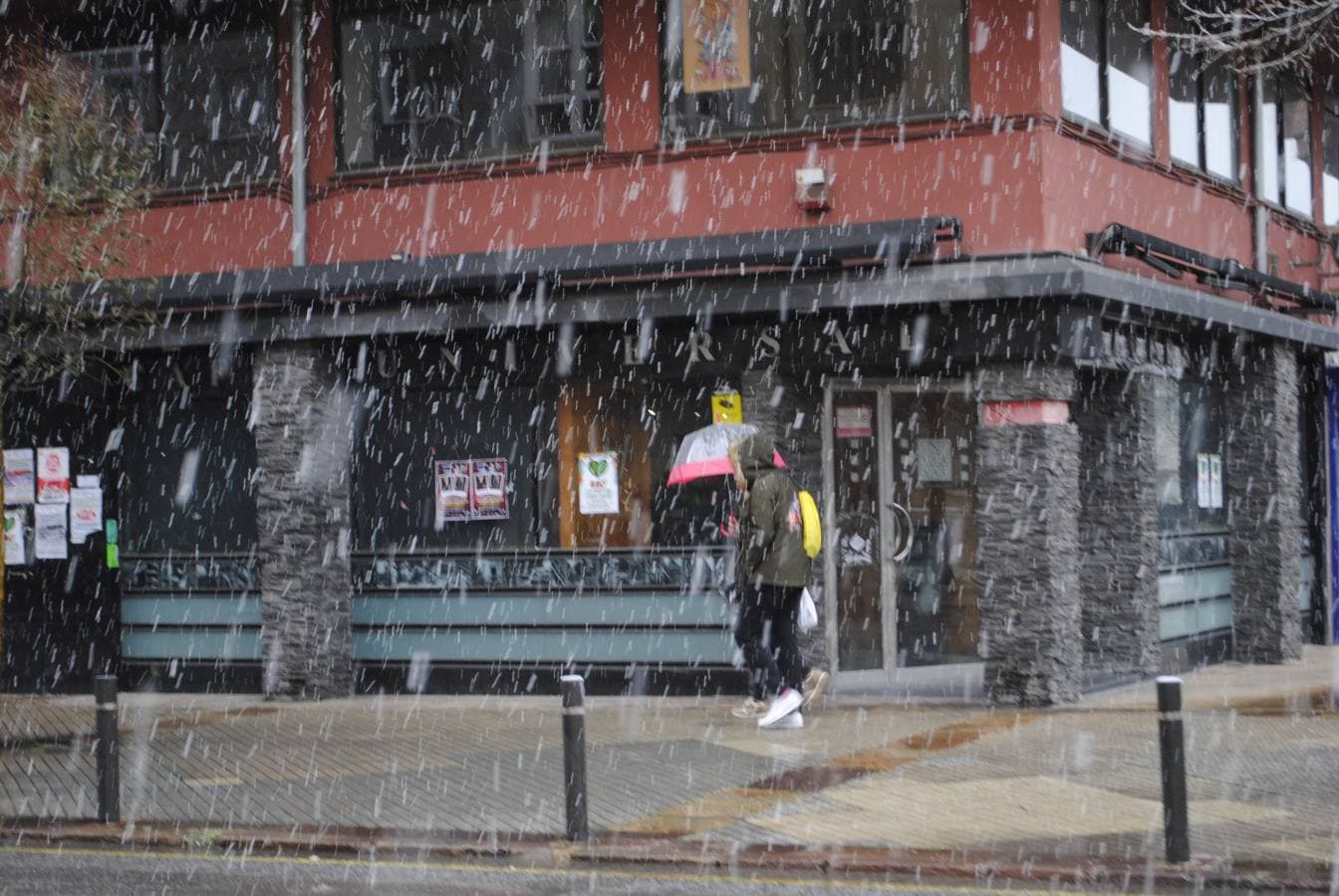 Fotos: La nieve regresa a Reinosa