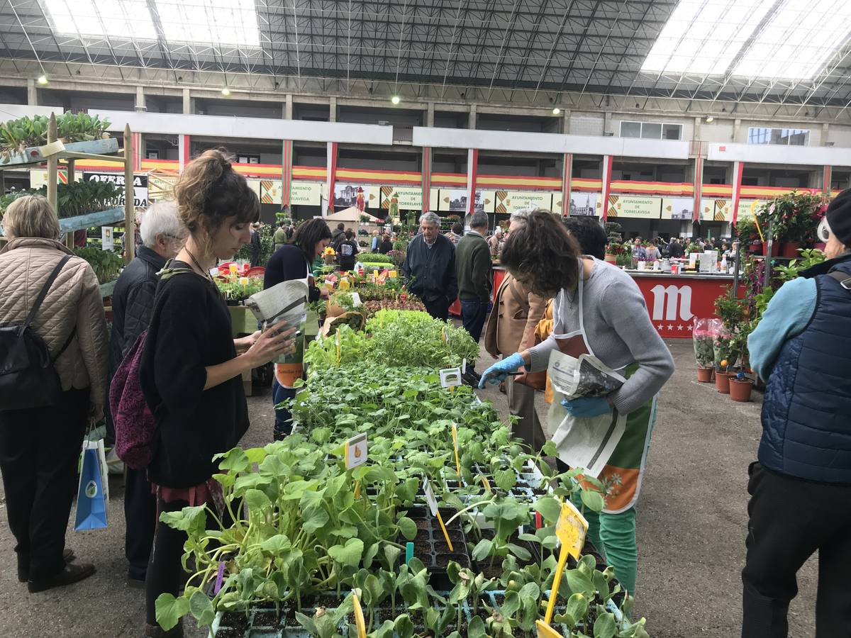 El Mercado Nacional de Ganados se convierte este fin de semana en un gran vivero de árboles y plantas, que transforman el ferial de Torrelavega en un espacio verde.