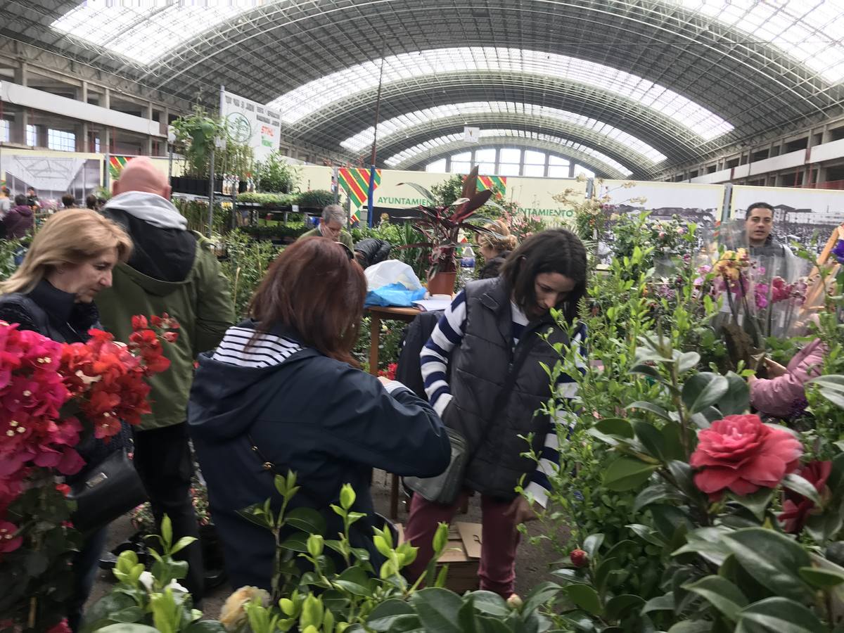 El Mercado Nacional de Ganados se convierte este fin de semana en un gran vivero de árboles y plantas, que transforman el ferial de Torrelavega en un espacio verde.