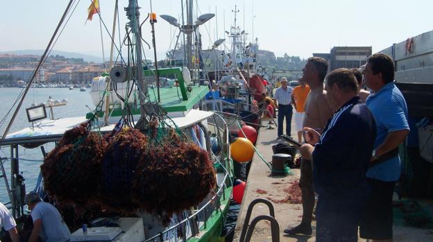 La extracción de algas en San Vicente se ha convertido en un recurso rentable para los pesqueros. 