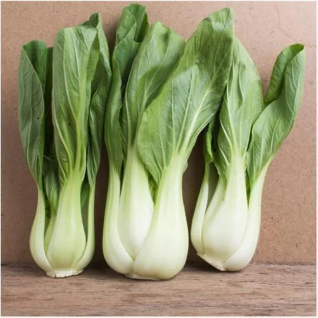 Pak choi, la col china. 