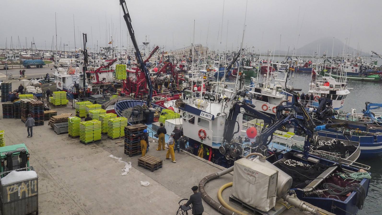 Fotos: Entra en las lonjas de Cantabria un millón de kilos de bocarte