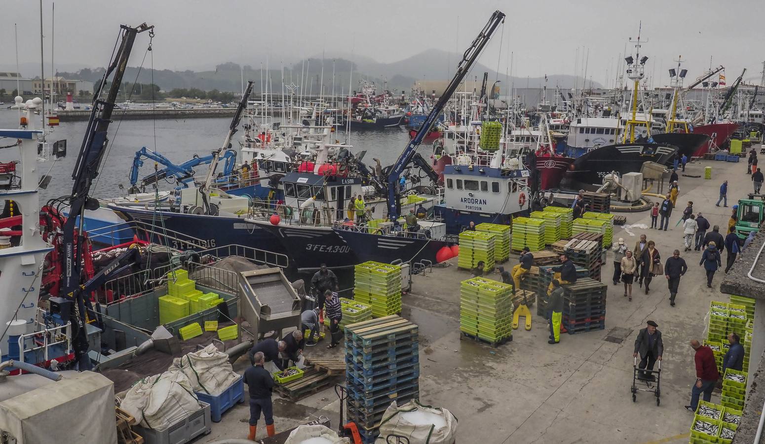 Fotos: Entra en las lonjas de Cantabria un millón de kilos de bocarte