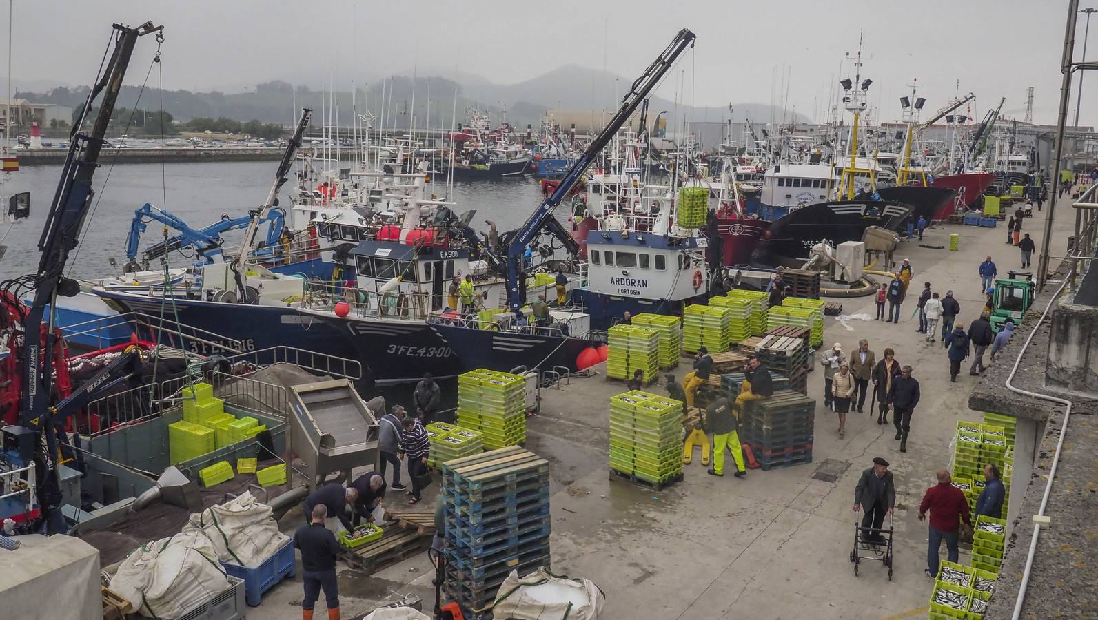 Fotos: Entra en las lonjas de Cantabria un millón de kilos de bocarte