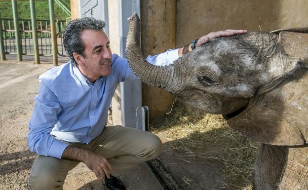 El consejero de Turismo con uno de los elefantes de Cabárceno.