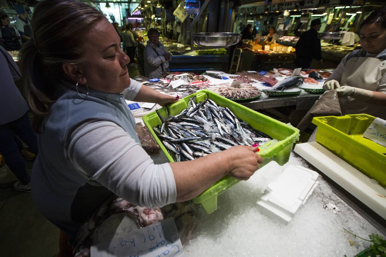 Fotos: El bocarte llega a la plaza