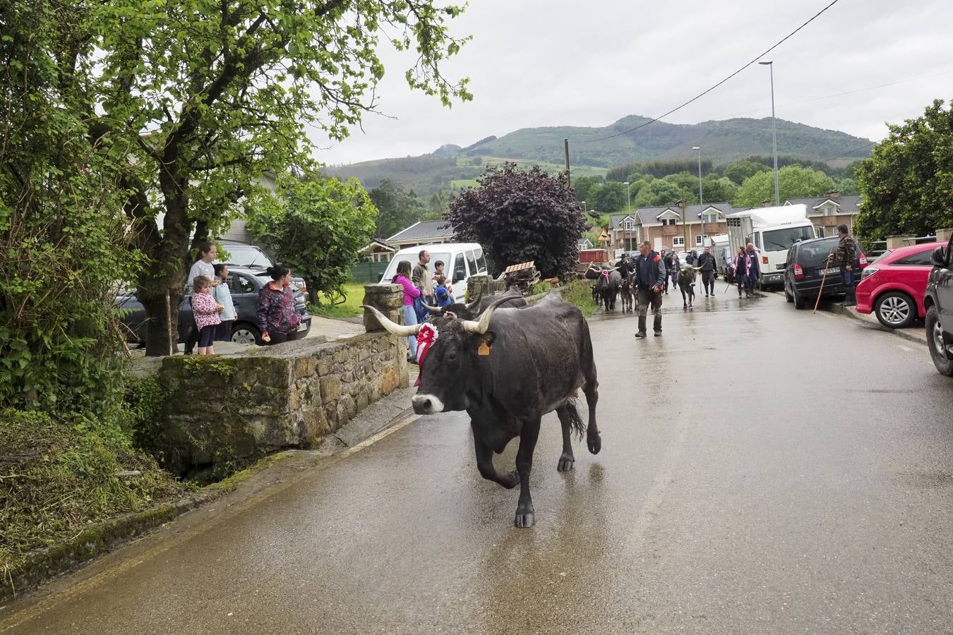 El municipio de Guriezo acogió su tradicional feria ganadera, en la que pese almal tiempo hubo una gran participación.