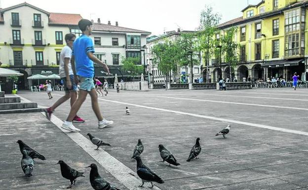 Los vecinos de Torrelavega muestran su malestar por la creciente proliferación de palomas 