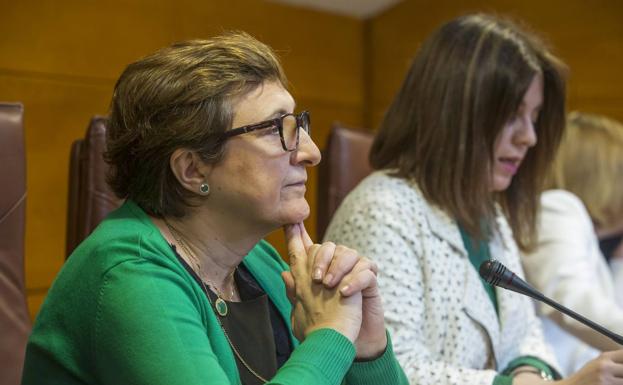 La consejera de Sanidad, María Luisa Real, durante su comparecencia en el Parlamento. 