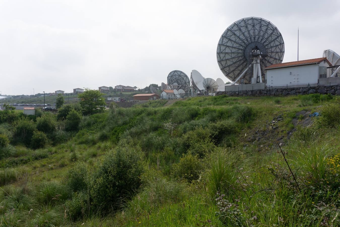 Solo la vegetación ocupa los solares vacios junto a Santander Teleport.