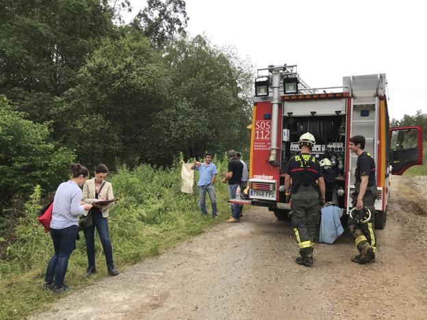 Miembros de los servicios de emergencia, trabajadores de la Inspección de Trabajo y compañeros, frente al lugar donde falleció Jesús.