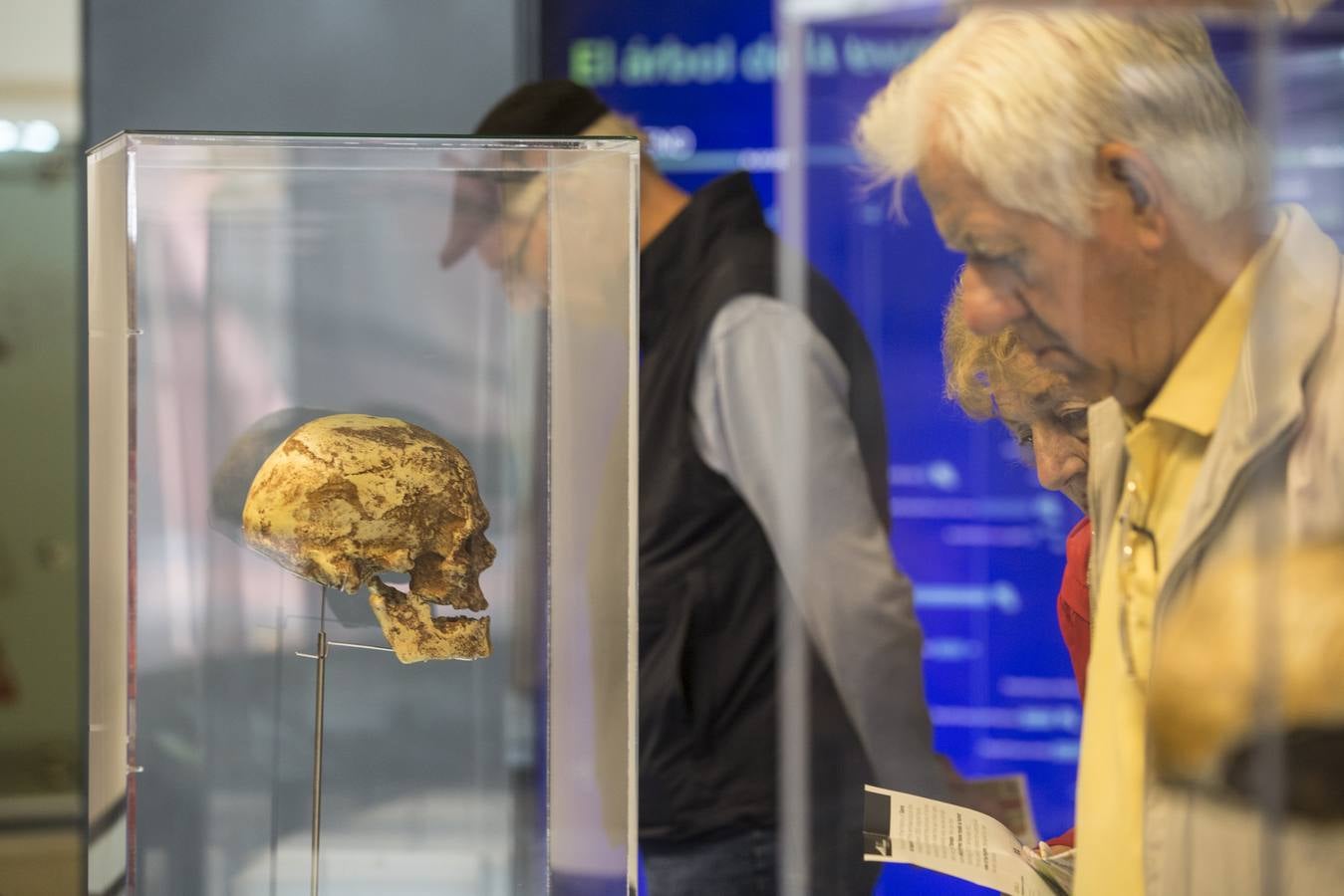 Fotos: Así es el Museo de la Evolución Humana y el parque arqueológico de Atapuerca