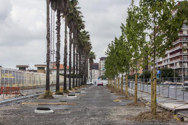 Palmeras y arces forman el nuevo paseo realizado a nivel del suelo. Se mantendrá el carril bici. 