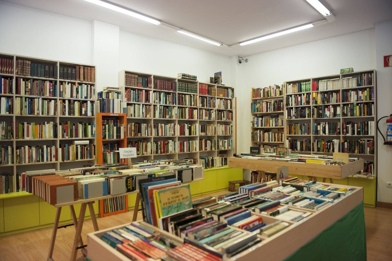 Interior de la librería Kattigara, espacio que vende libros de segunda mano y que participa en la campaña del Bono Cultura.