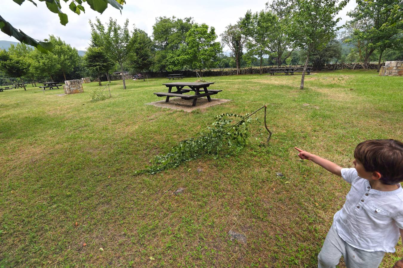 Fotos: Árboles completamente destrozados en el área recreativa de Terán