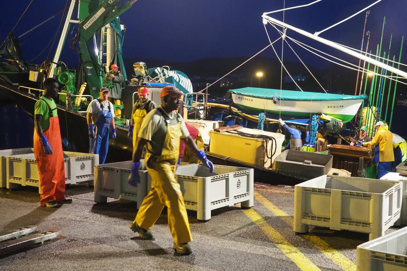 Fotos: Descarga de bonito, esta madrugada en los puertos de Laredo y Santoña