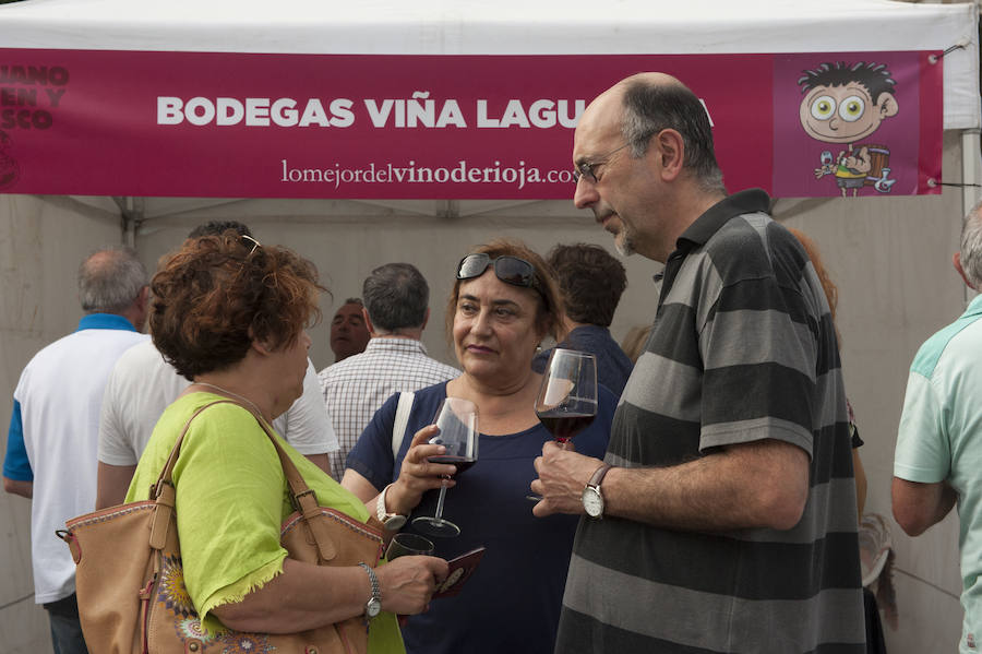 Diez bodegas traen a la ciudad sus mejores caldos para participar en la mayor cata callejera del país 