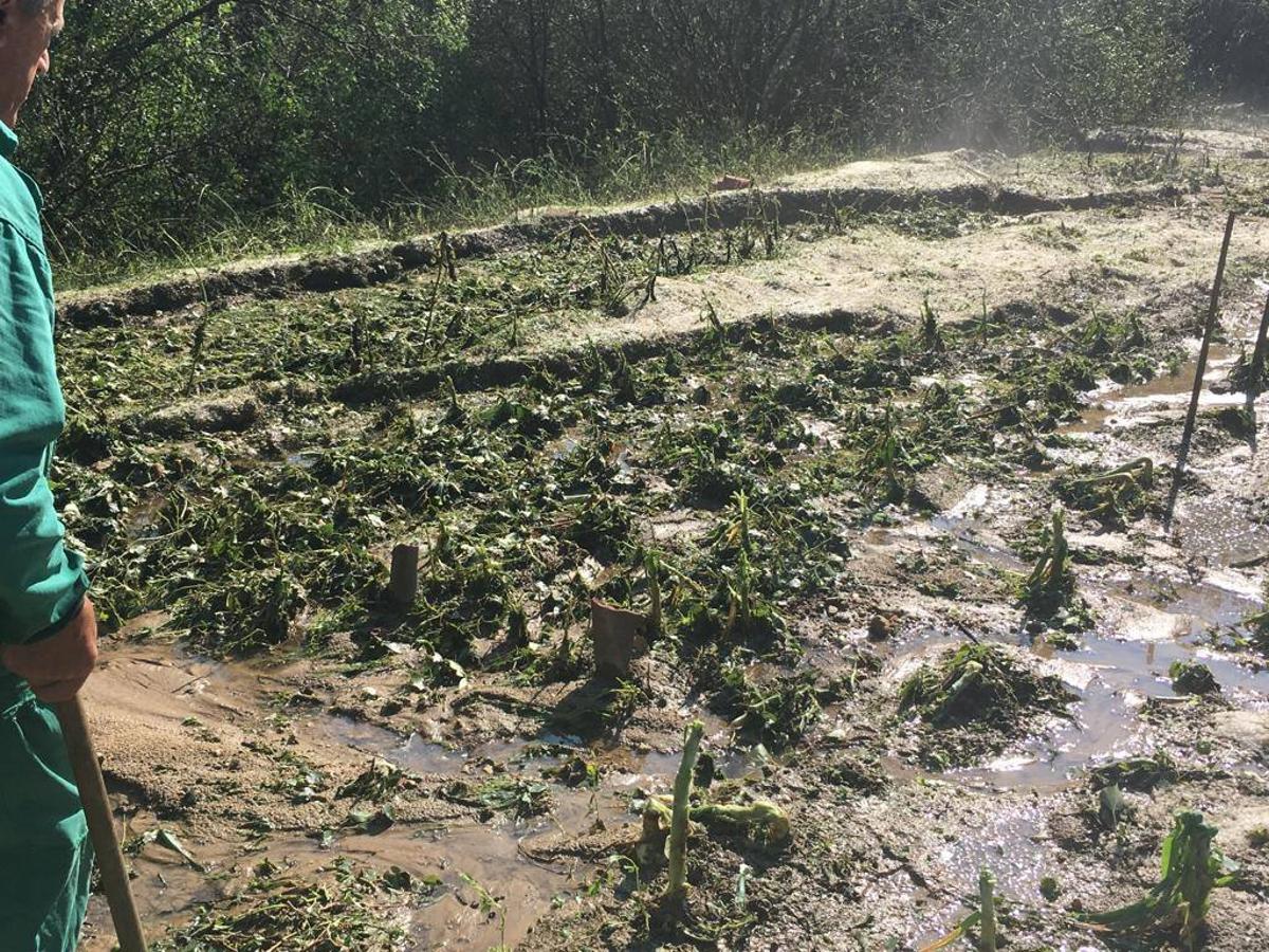 Fotos: Daños en Montecillo por el granizo