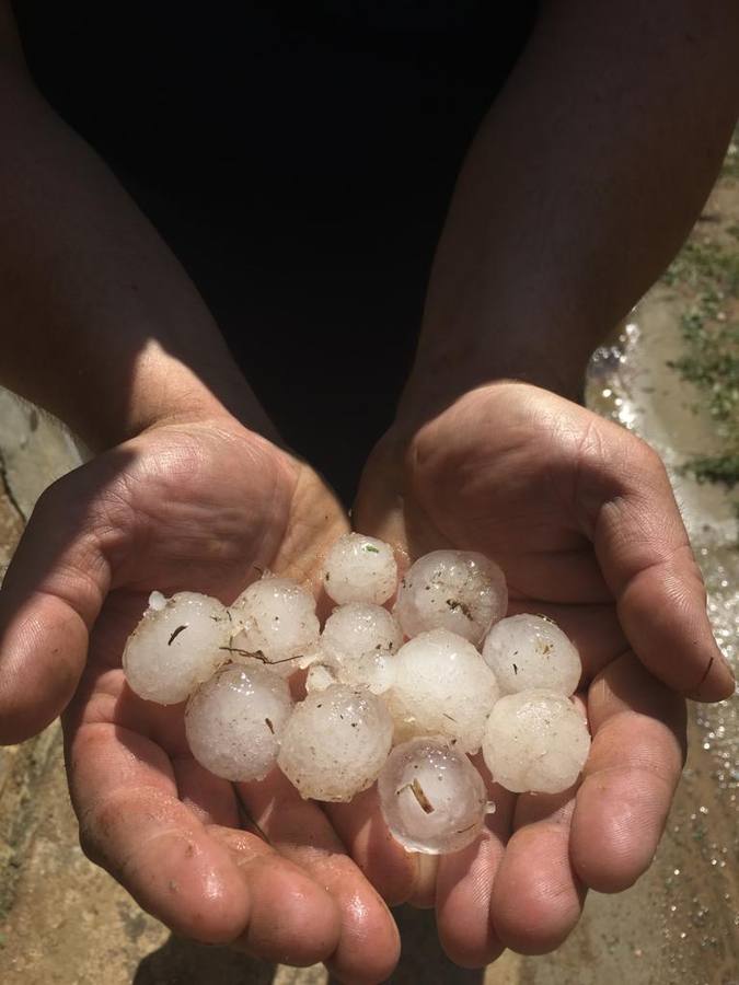 Fotos: Daños en Montecillo por el granizo