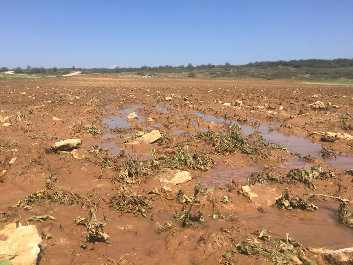 Rocamundo ha sido uno de los núcleos más afectados