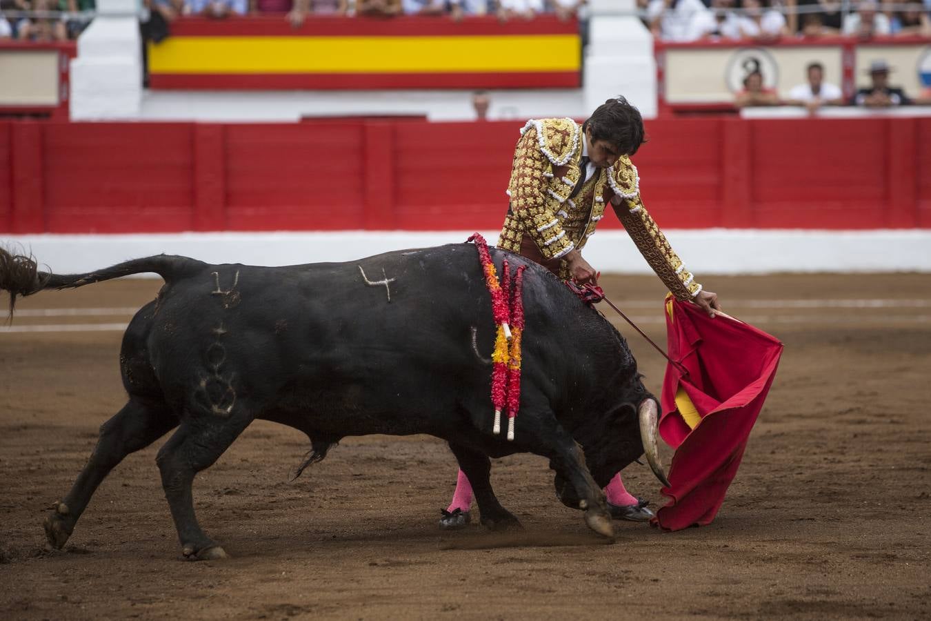 Fotos: Perera sale por la puerta grande en la segunda corrida de toros de la Feria de Santiago