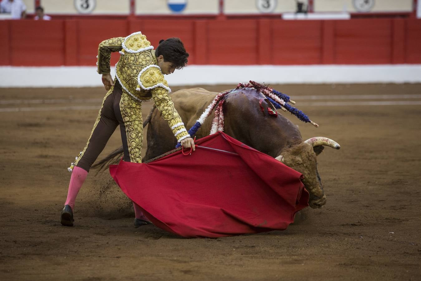 Fotos: Perera sale por la puerta grande en la segunda corrida de toros de la Feria de Santiago