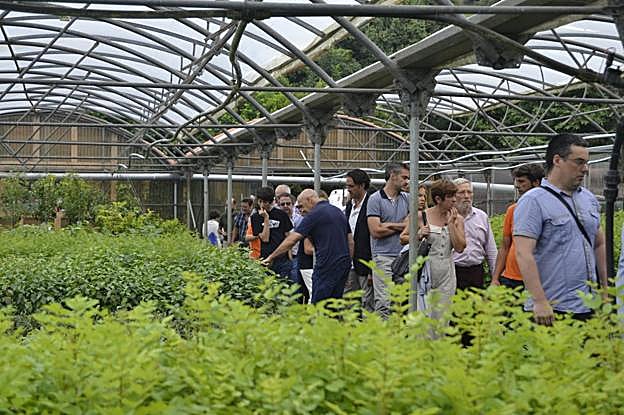 El invernadero del centro botánico recoge todo tipo de especies de vegetación autónoma. 