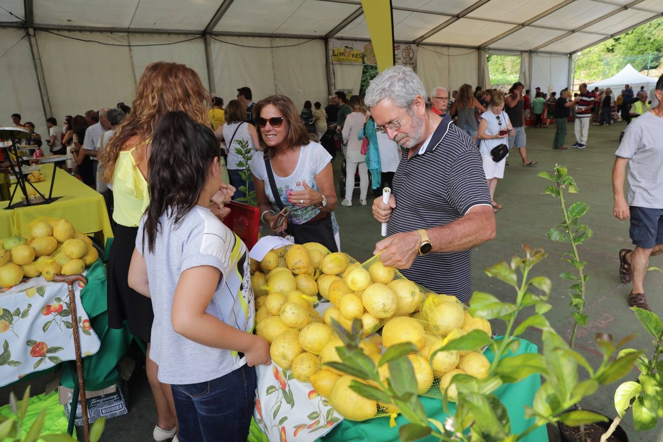 Fotos: La fiesta solidaria de los limones en Novales