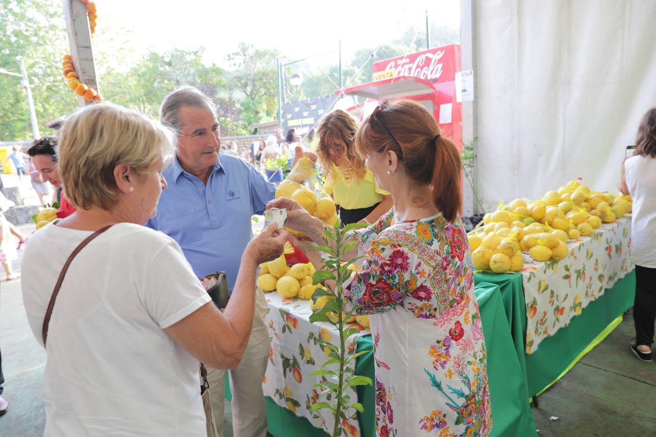 Fotos: La fiesta solidaria de los limones en Novales