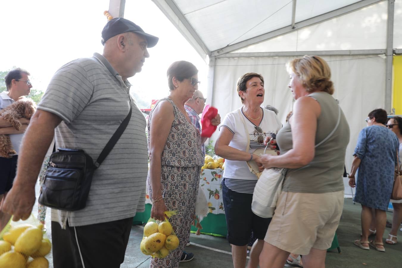 Fotos: La fiesta solidaria de los limones en Novales