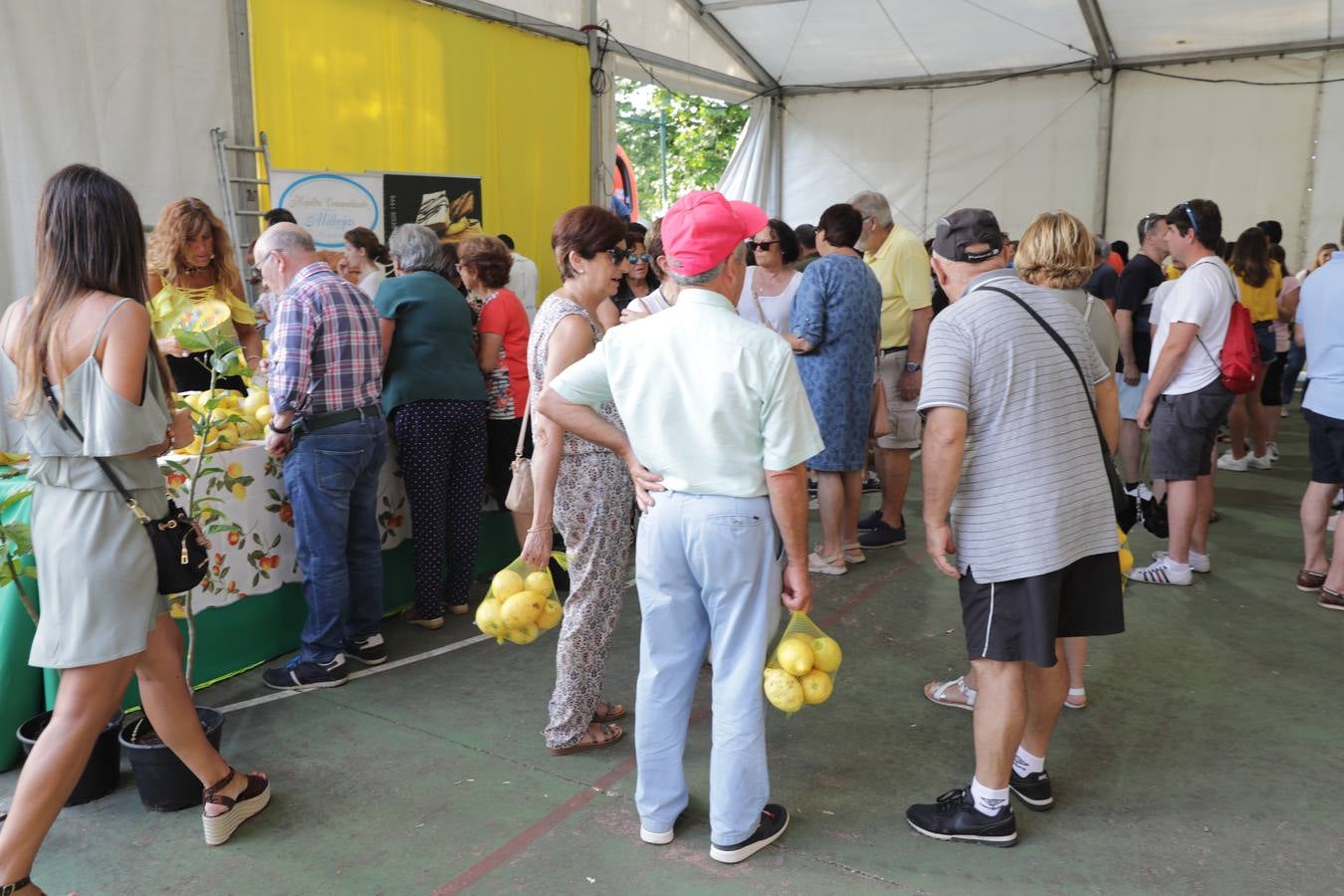 Fotos: La fiesta solidaria de los limones en Novales