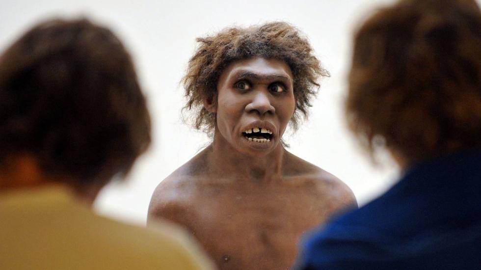 Recreación de un neandertal. 