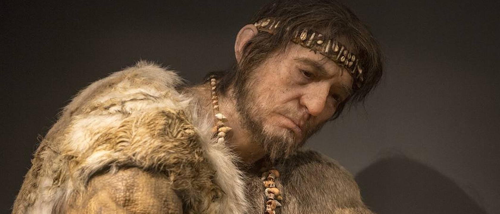 El éxito evolutivo de los primeros humanos