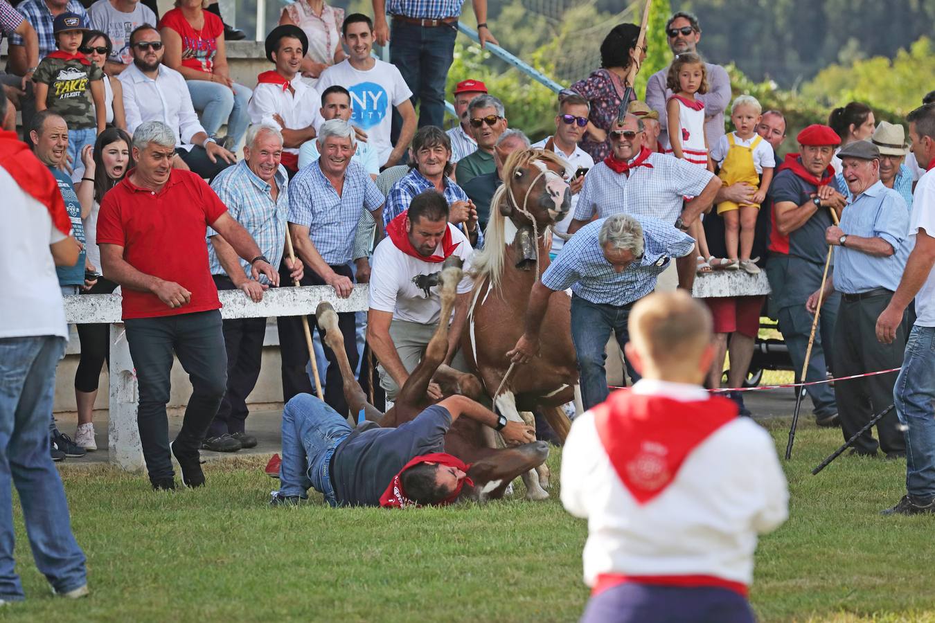 Fotos: LII Campeonato de Arrastre Vacuno